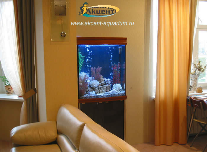 Акцент-аквариум,аквариум 250 литров